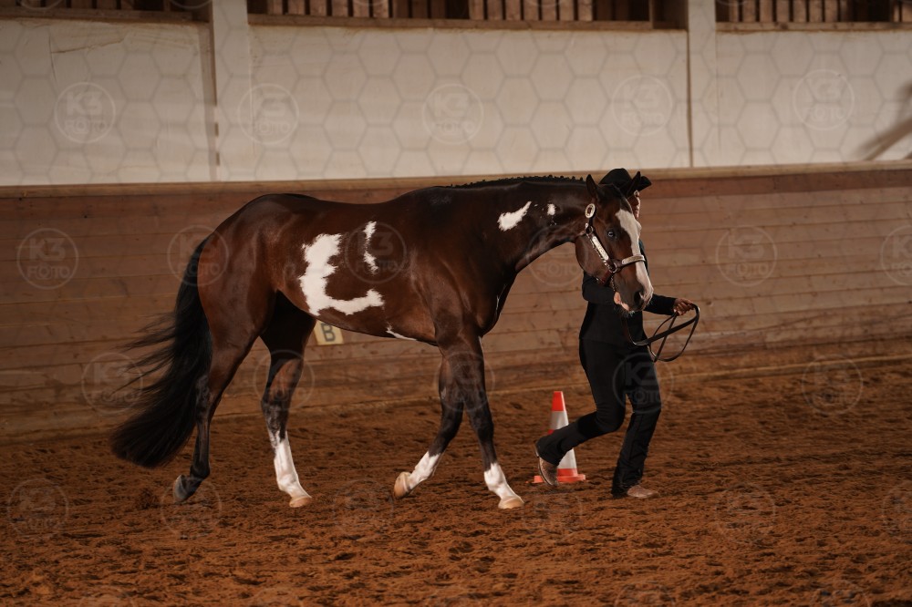 s_A_905777.JPG